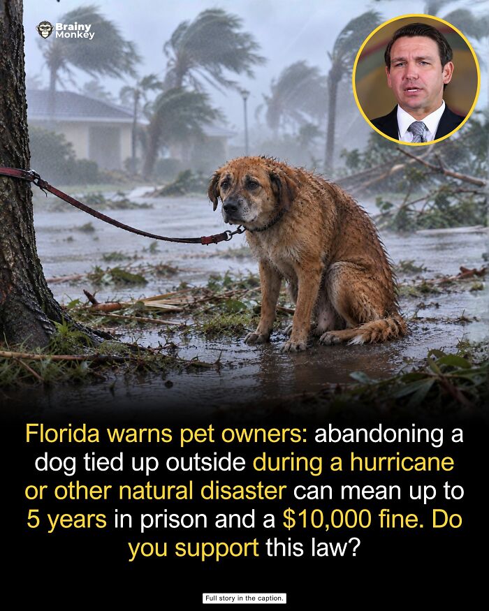 63 Wholesome Facts That Might Make The World Feel A Little Less Terrible 63 Wholesome Facts That Might Make The World Feel A Little Less Terrible