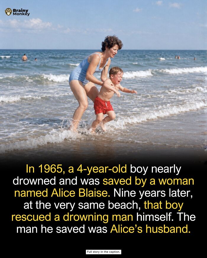 63 Wholesome Facts That Might Make The World Feel A Little Less Terrible 63 Wholesome Facts That Might Make The World Feel A Little Less Terrible