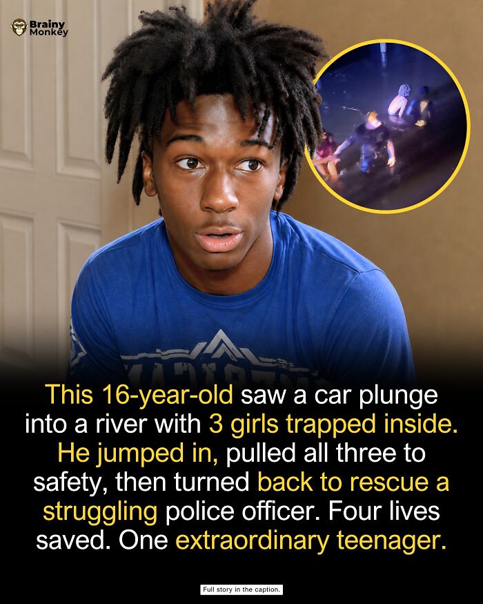 63 Wholesome Facts That Might Make The World Feel A Little Less Terrible 63 Wholesome Facts That Might Make The World Feel A Little Less Terrible