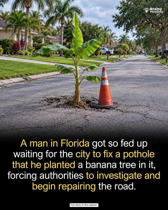 63 Wholesome Facts That Might Make The World Feel A Little Less Terrible 63 Wholesome Facts That Might Make The World Feel A Little Less Terrible