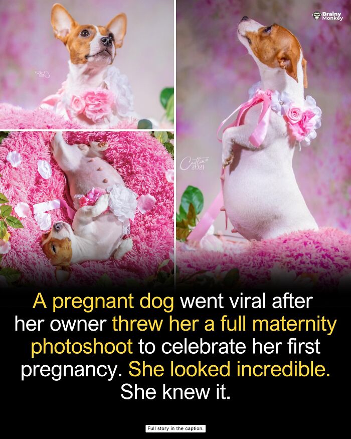 63 Wholesome Facts That Might Make The World Feel A Little Less Terrible 63 Wholesome Facts That Might Make The World Feel A Little Less Terrible