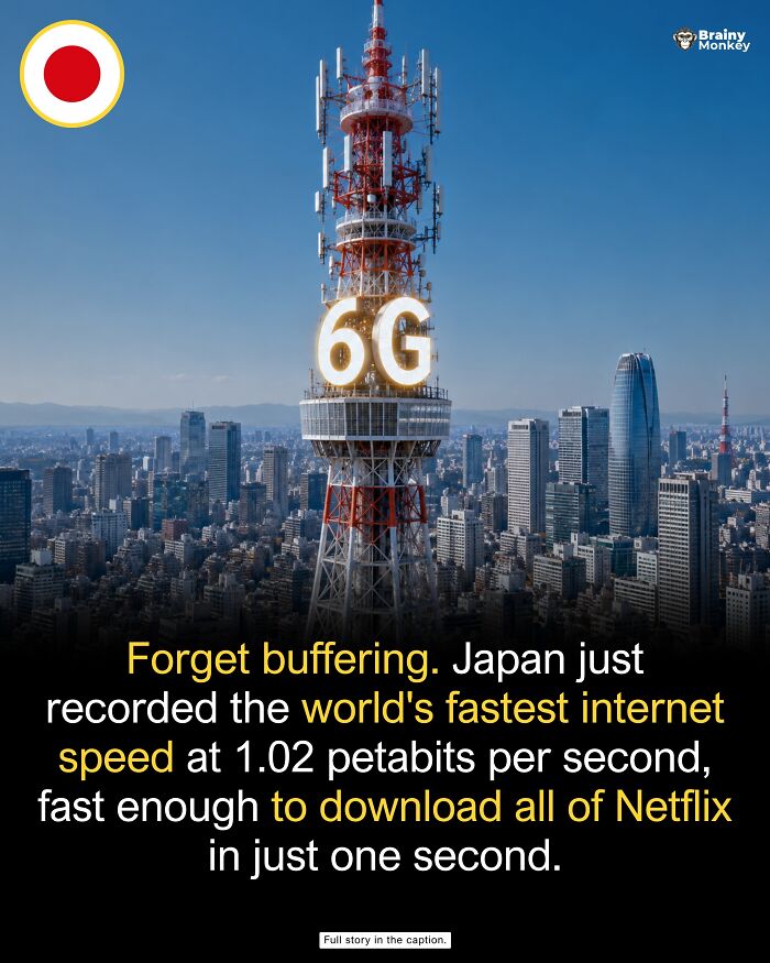 63 Wholesome Facts That Might Make The World Feel A Little Less Terrible 63 Wholesome Facts That Might Make The World Feel A Little Less Terrible