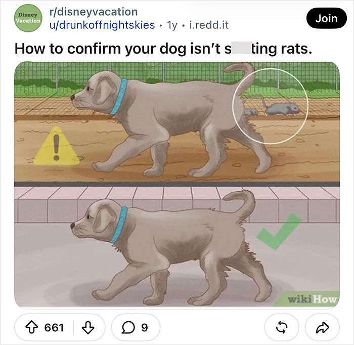 66 WikiHow Images That Become Something Else Entirely Once The Internet Adds New Captions (New Pics) 66 WikiHow Images That Become Something Else Entirely Once The Internet Adds New Captions (New Pics)