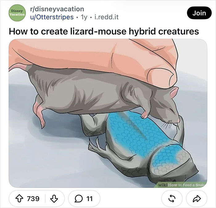 66 WikiHow Images That Become Something Else Entirely Once The Internet Adds New Captions (New Pics) 66 WikiHow Images That Become Something Else Entirely Once The Internet Adds New Captions (New Pics)