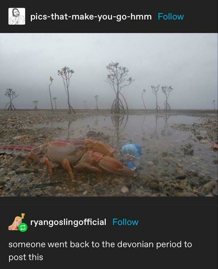 68 Funny And Random Posts That Could Only Have Come From Tumblr (New Pics) 68 Funny And Random Posts That Could Only Have Come From Tumblr (New Pics)