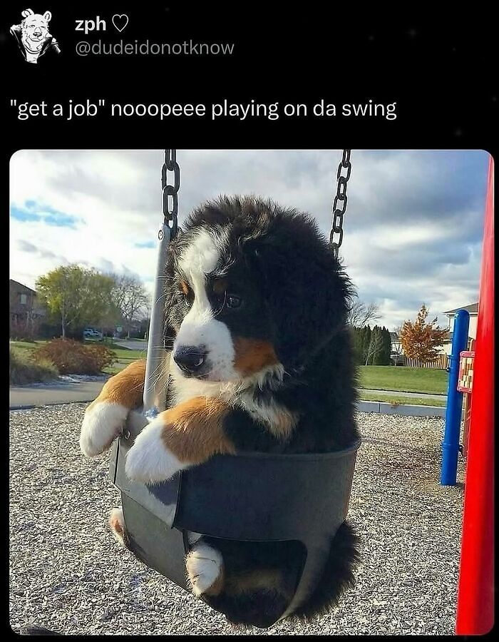 64 Memes That Feel Like The Internet Had One Thought Too Many 64 Memes That Feel Like The Internet Had One Thought Too Many