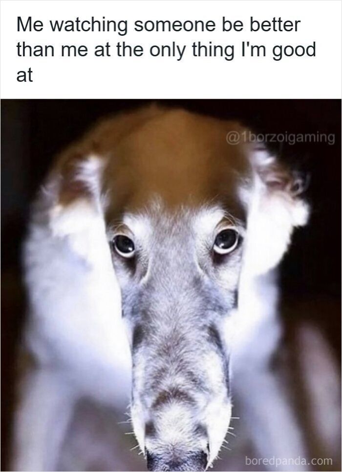 64 Memes That Feel Like The Internet Had One Thought Too Many 64 Memes That Feel Like The Internet Had One Thought Too Many