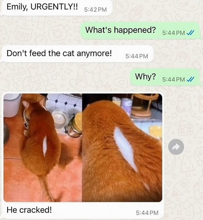 64 Memes That Feel Like The Internet Had One Thought Too Many 64 Memes That Feel Like The Internet Had One Thought Too Many