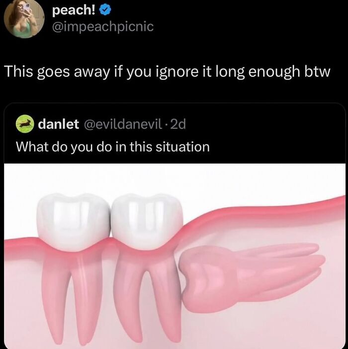 64 Memes That Feel Like The Internet Had One Thought Too Many 64 Memes That Feel Like The Internet Had One Thought Too Many