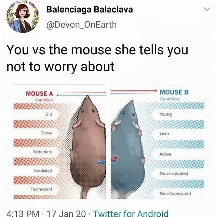 64 Memes That Feel Like The Internet Had One Thought Too Many 64 Memes That Feel Like The Internet Had One Thought Too Many