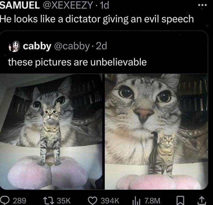 64 Memes That Feel Like The Internet Had One Thought Too Many 64 Memes That Feel Like The Internet Had One Thought Too Many