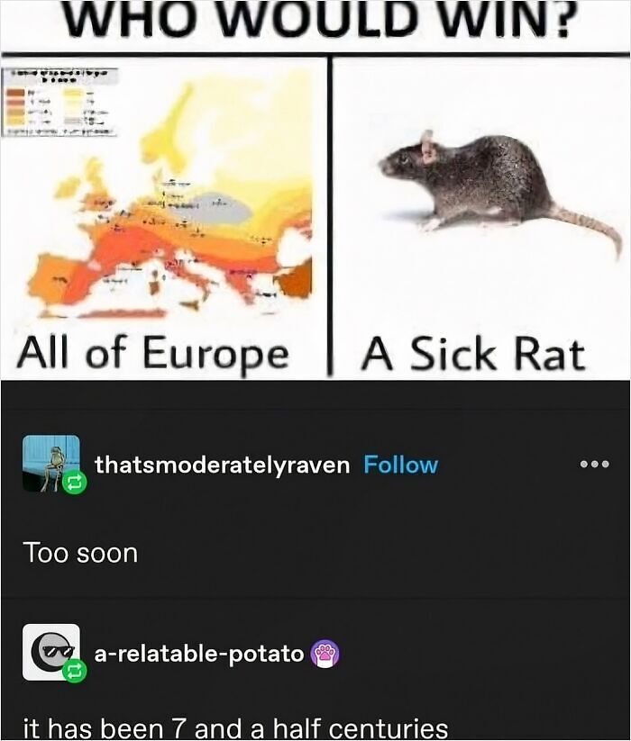64 Memes That Feel Like The Internet Had One Thought Too Many 64 Memes That Feel Like The Internet Had One Thought Too Many