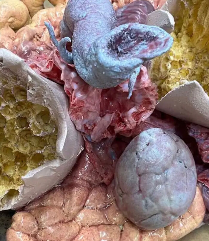 “Looks Like Organs”: Heidi Klum’s Grotesque Halloween Teaser Has Fans Convinced They Know Her Next Transformation “Looks Like Organs”: Heidi Klum’s Grotesque Halloween Teaser Has Fans Convinced They Know Her Next Transformation