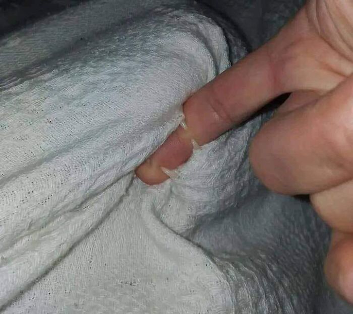 46 Purr-fectly Timed Cat Pics That Might Make You Laugh Out Loud, As Shared By This Page 46 Purr-fectly Timed Cat Pics That Might Make You Laugh Out Loud, As Shared By This Page