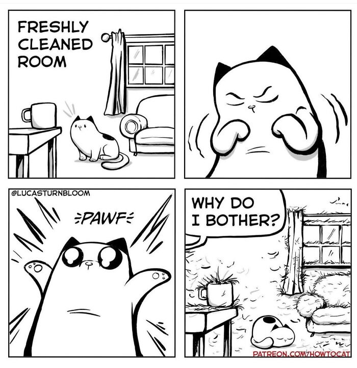 23 New Comics That Highlight Hilariously Relatable Cat Behaviors, Illustrated By Lucas Turnbloom 23 New Comics That Highlight Hilariously Relatable Cat Behaviors, Illustrated By Lucas Turnbloom