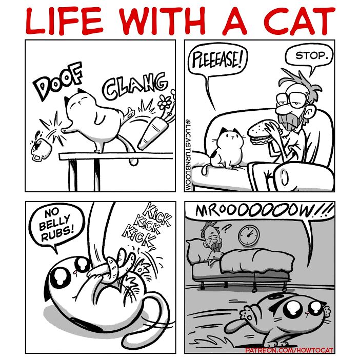 23 New Comics That Highlight Hilariously Relatable Cat Behaviors, Illustrated By Lucas Turnbloom 23 New Comics That Highlight Hilariously Relatable Cat Behaviors, Illustrated By Lucas Turnbloom