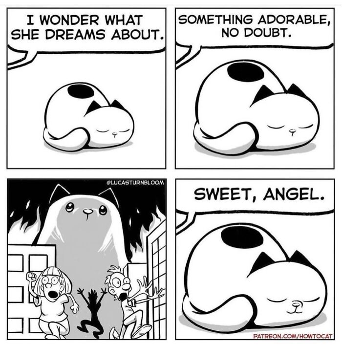 23 New Comics That Highlight Hilariously Relatable Cat Behaviors, Illustrated By Lucas Turnbloom 23 New Comics That Highlight Hilariously Relatable Cat Behaviors, Illustrated By Lucas Turnbloom