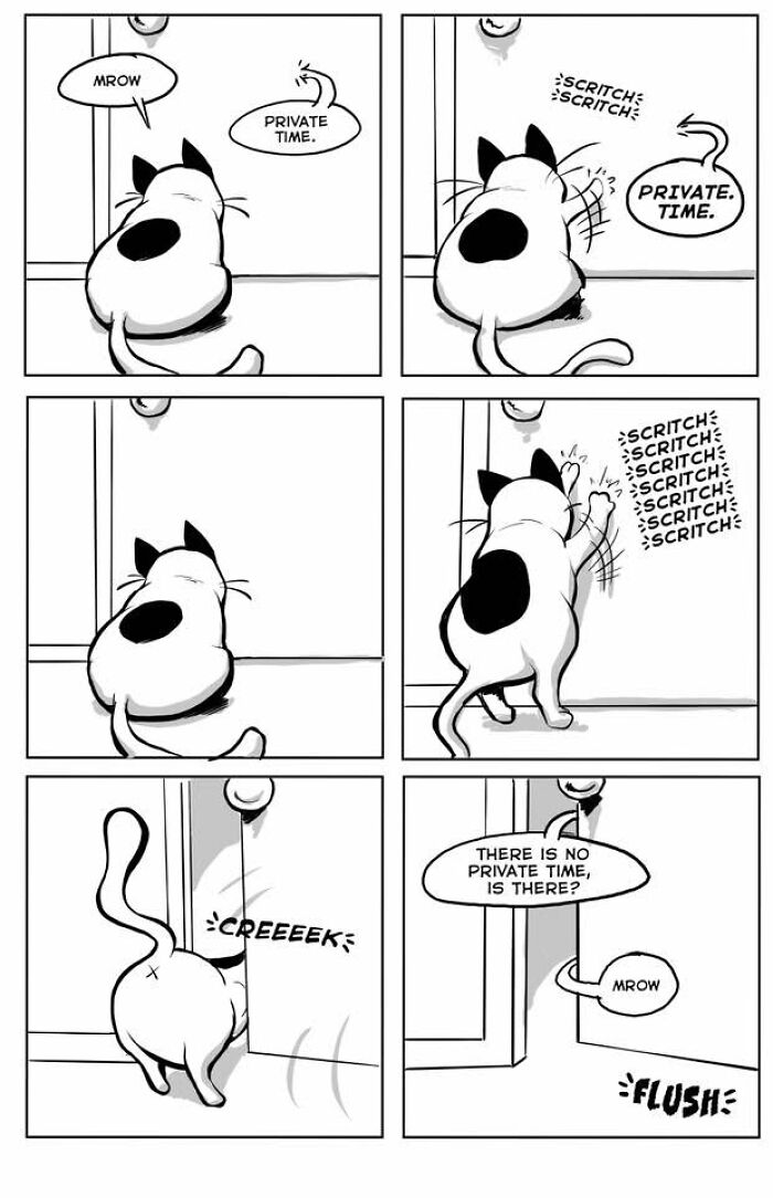 23 New Comics That Highlight Hilariously Relatable Cat Behaviors, Illustrated By Lucas Turnbloom 23 New Comics That Highlight Hilariously Relatable Cat Behaviors, Illustrated By Lucas Turnbloom
