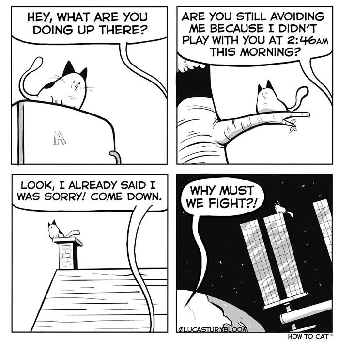 23 New Comics That Highlight Hilariously Relatable Cat Behaviors, Illustrated By Lucas Turnbloom 23 New Comics That Highlight Hilariously Relatable Cat Behaviors, Illustrated By Lucas Turnbloom