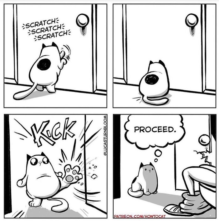 23 New Comics That Highlight Hilariously Relatable Cat Behaviors, Illustrated By Lucas Turnbloom 23 New Comics That Highlight Hilariously Relatable Cat Behaviors, Illustrated By Lucas Turnbloom