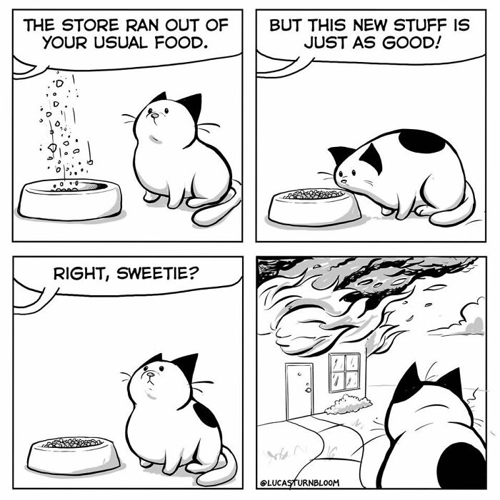23 New Comics That Highlight Hilariously Relatable Cat Behaviors, Illustrated By Lucas Turnbloom 23 New Comics That Highlight Hilariously Relatable Cat Behaviors, Illustrated By Lucas Turnbloom