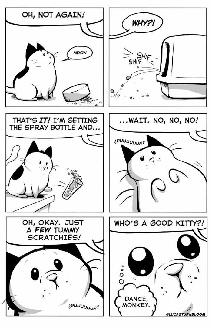 23 New Comics That Highlight Hilariously Relatable Cat Behaviors, Illustrated By Lucas Turnbloom 23 New Comics That Highlight Hilariously Relatable Cat Behaviors, Illustrated By Lucas Turnbloom