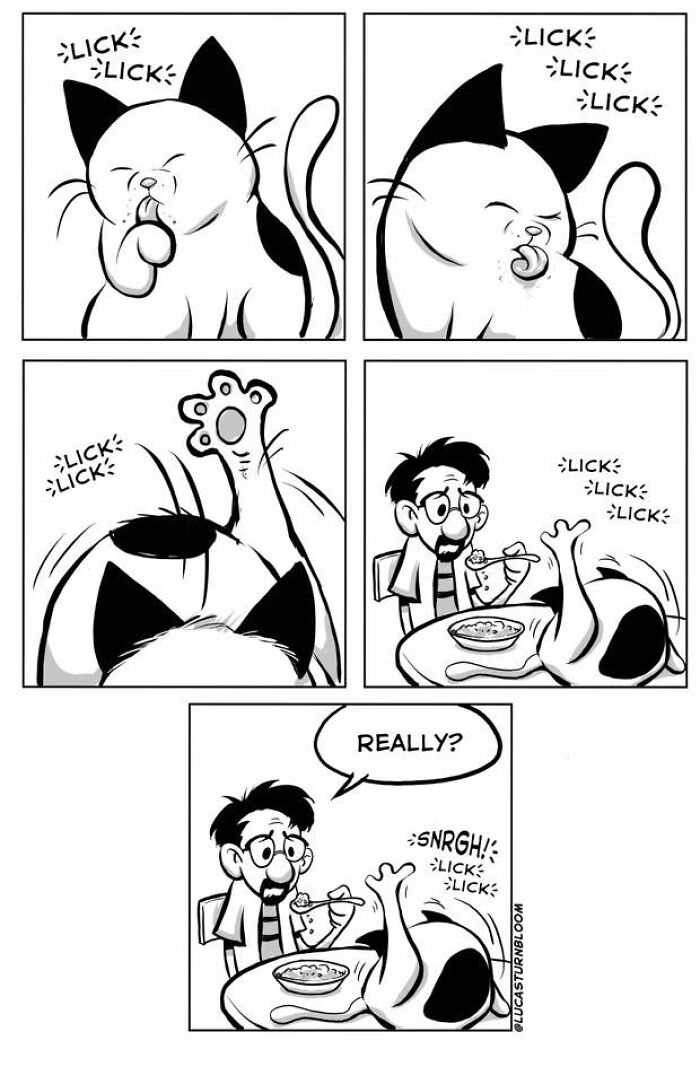 23 New Comics That Highlight Hilariously Relatable Cat Behaviors, Illustrated By Lucas Turnbloom 23 New Comics That Highlight Hilariously Relatable Cat Behaviors, Illustrated By Lucas Turnbloom