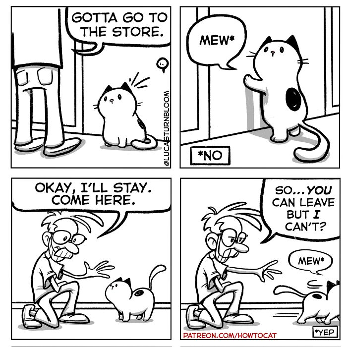 23 New Comics That Highlight Hilariously Relatable Cat Behaviors, Illustrated By Lucas Turnbloom 23 New Comics That Highlight Hilariously Relatable Cat Behaviors, Illustrated By Lucas Turnbloom