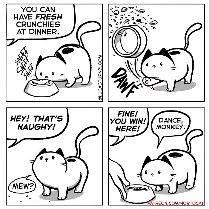 23 New Comics That Highlight Hilariously Relatable Cat Behaviors, Illustrated By Lucas Turnbloom 23 New Comics That Highlight Hilariously Relatable Cat Behaviors, Illustrated By Lucas Turnbloom