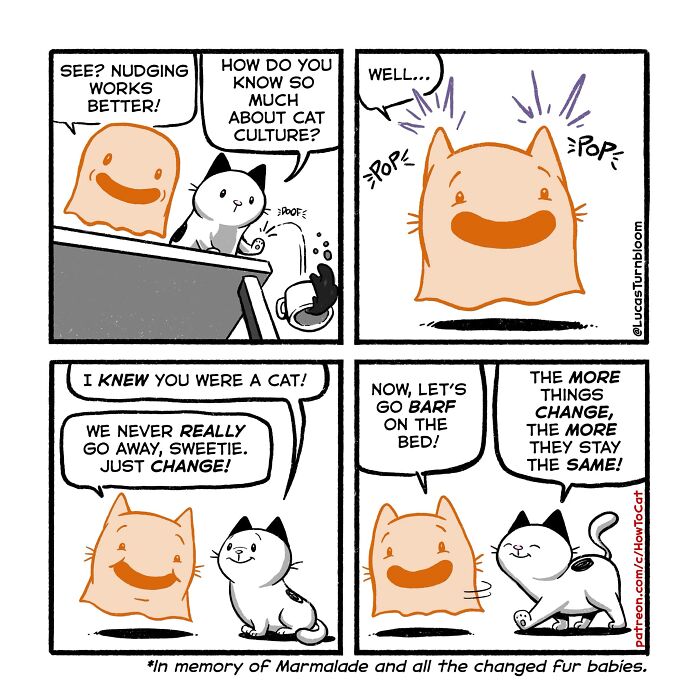 23 New Comics That Highlight Hilariously Relatable Cat Behaviors, Illustrated By Lucas Turnbloom 23 New Comics That Highlight Hilariously Relatable Cat Behaviors, Illustrated By Lucas Turnbloom