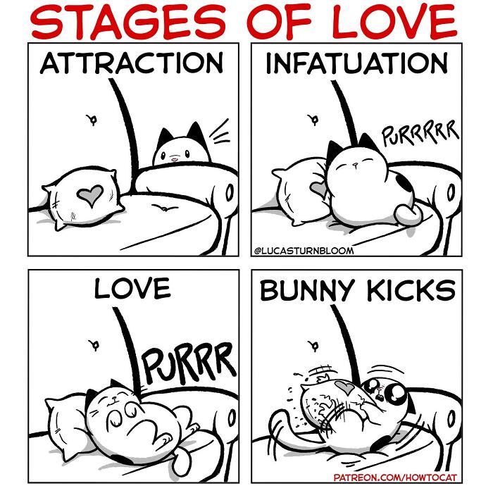 23 New Comics That Highlight Hilariously Relatable Cat Behaviors, Illustrated By Lucas Turnbloom 23 New Comics That Highlight Hilariously Relatable Cat Behaviors, Illustrated By Lucas Turnbloom