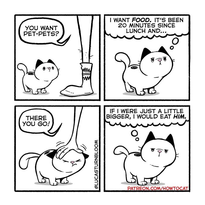23 New Comics That Highlight Hilariously Relatable Cat Behaviors, Illustrated By Lucas Turnbloom 23 New Comics That Highlight Hilariously Relatable Cat Behaviors, Illustrated By Lucas Turnbloom