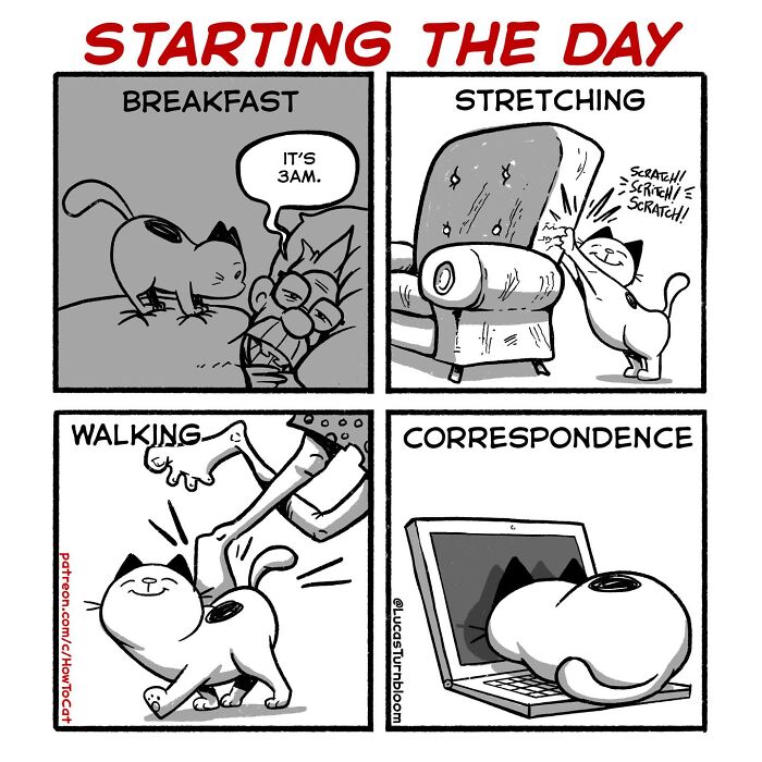 23 New Comics That Highlight Hilariously Relatable Cat Behaviors, Illustrated By Lucas Turnbloom 23 New Comics That Highlight Hilariously Relatable Cat Behaviors, Illustrated By Lucas Turnbloom