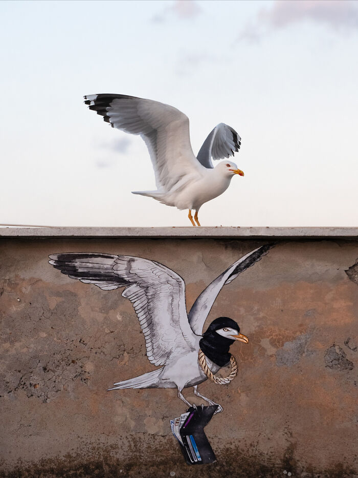 Top 20 Images From GDT’s 2026 European Wildlife Photographer Of The Year Contest Top 20 Images From GDT’s 2026 European Wildlife Photographer Of The Year Contest
