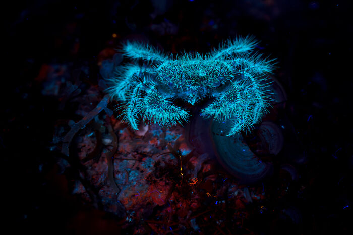 Top 20 Images From GDT’s 2026 European Wildlife Photographer Of The Year Contest Top 20 Images From GDT’s 2026 European Wildlife Photographer Of The Year Contest