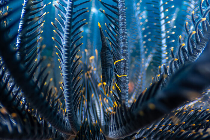Top 20 Images From GDT’s 2026 European Wildlife Photographer Of The Year Contest Top 20 Images From GDT’s 2026 European Wildlife Photographer Of The Year Contest