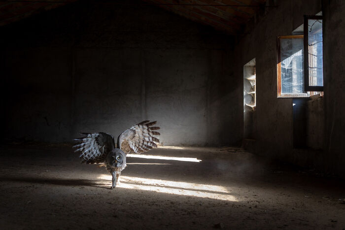 Top 20 Images From GDT’s 2026 European Wildlife Photographer Of The Year Contest Top 20 Images From GDT’s 2026 European Wildlife Photographer Of The Year Contest