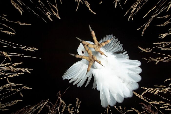 62 Stunning Photos From The Ournature Environmental Photo Awards 2026