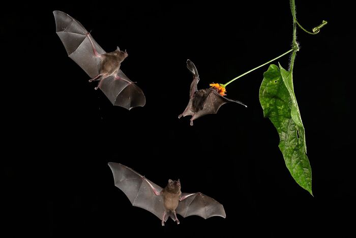 62 Stunning Photos From The Ournature Environmental Photo Awards 2026
