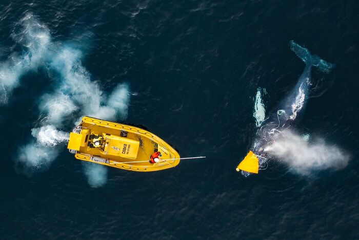 62 Stunning Photos From The Ournature Environmental Photo Awards 2026