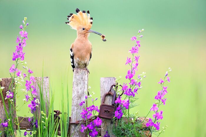 62 Stunning Photos From The Ournature Environmental Photo Awards 2026