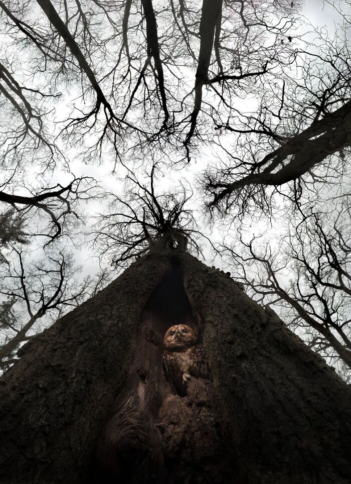 62 Stunning Photos From The Ournature Environmental Photo Awards 2026
