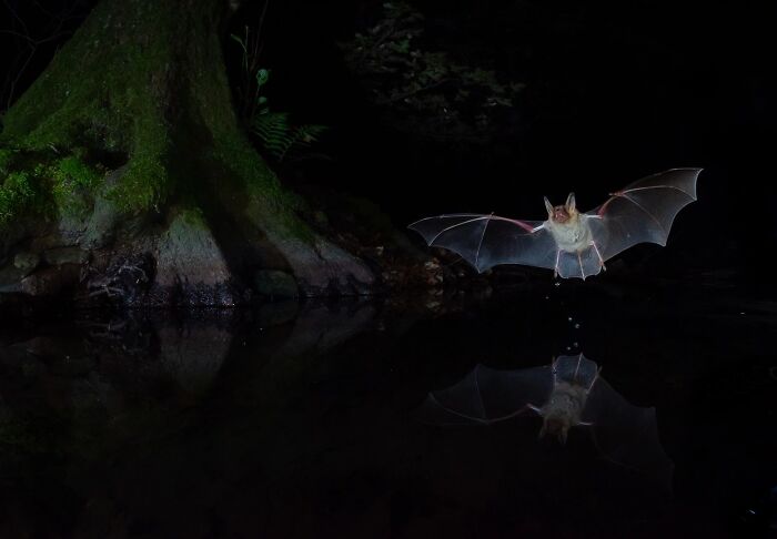 62 Stunning Photos From The Ournature Environmental Photo Awards 2026