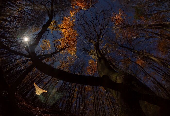 62 Stunning Photos From The Ournature Environmental Photo Awards 2026