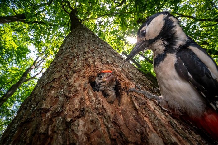 62 Stunning Photos From The Ournature Environmental Photo Awards 2026