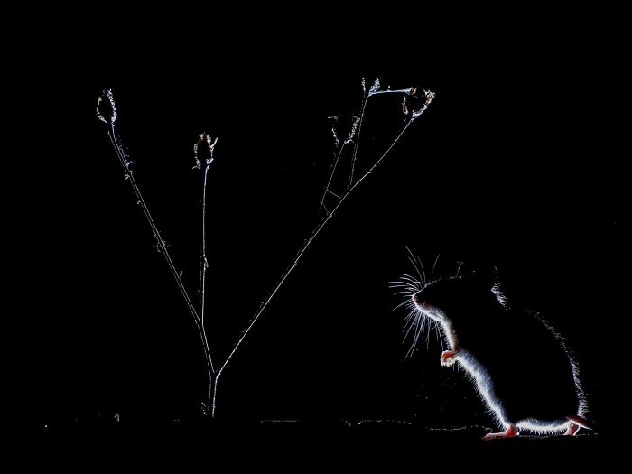 62 Stunning Photos From The Ournature Environmental Photo Awards 2026