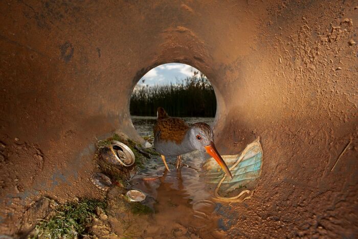 62 Stunning Photos From The Ournature Environmental Photo Awards 2026