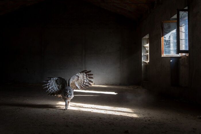 62 Stunning Photos From The Ournature Environmental Photo Awards 2026
