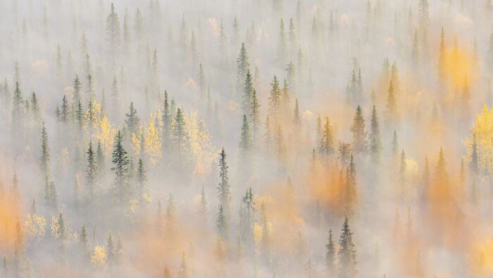 62 Stunning Photos From The Ournature Environmental Photo Awards 2026