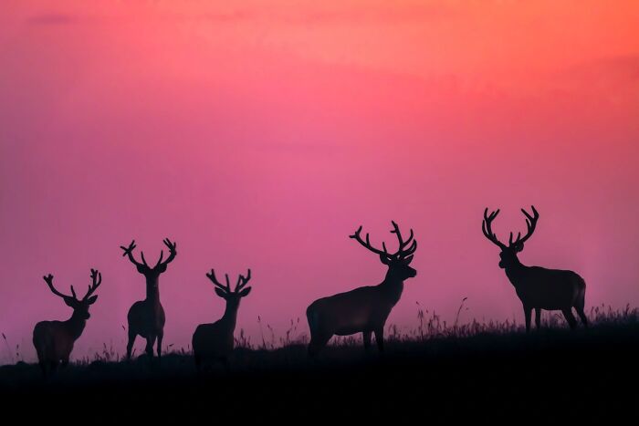62 Stunning Photos From The Ournature Environmental Photo Awards 2026
